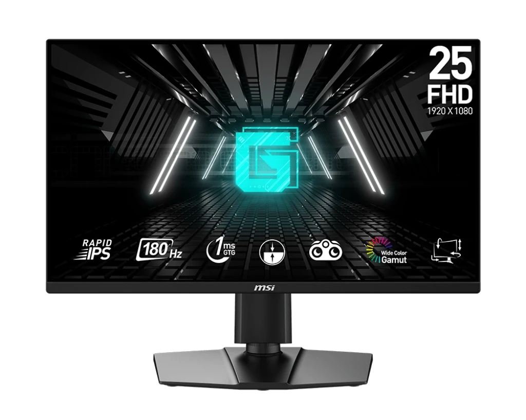 MSI G255PF E2 24.5 Inch FHD Display Dual HDMI, DP Gaming Monitor